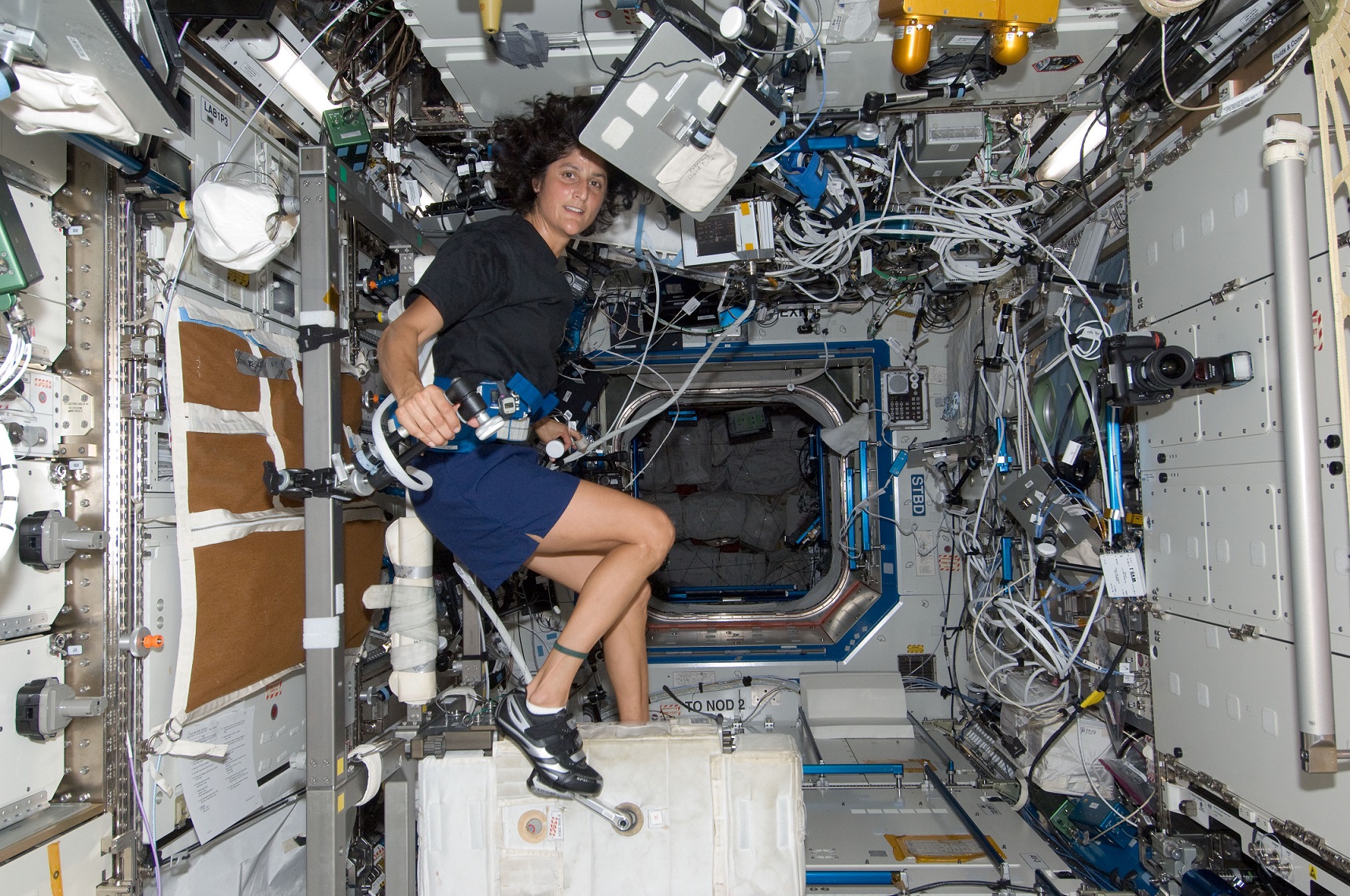NASA astronaut Sunita Williams, Expedition 32 flight engineer, exercises on the CEVIS in the Destiny laboratory of the ISS. Public domain NASA.